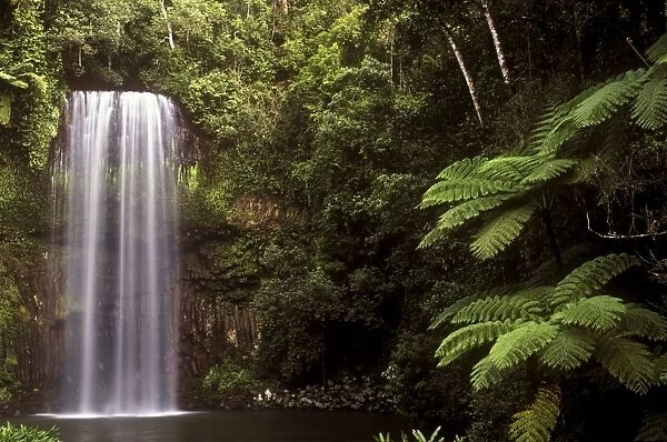 AUSTRALIA, Queensland, Millaa Millaa Falls