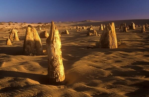 AUSTRALIA, Western Australia, Pinnacles Desert