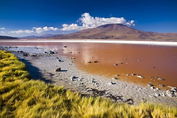 Bolivia, Southern Altiplano, Laguna Colorada. The dramatic other world landscape of the Laguna Coloroda otherwise know as the