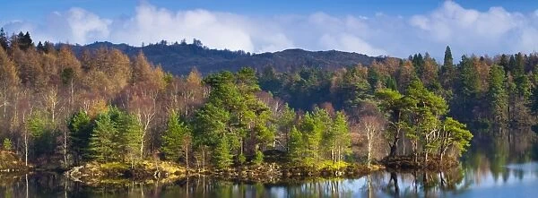 England, Cumbria, Lake District National Park. Mix of deciduous and evergreen trees surrounding the waters edge of Tarn Hows, a popular tourist destination once owned by Beatrix Potter and almost a totally