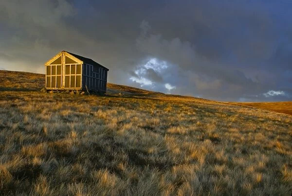 ENGLAND, Cumbria, Lake District National Park. The setting sun illuminates Lingy Hut