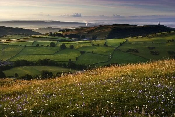 England, Cumbria, Ulverston. The early morning colours of dawn illuminate fields