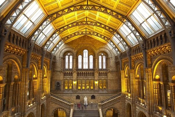England, London, The Royal Borough of Kensington and Chelsea, Natural History Museum