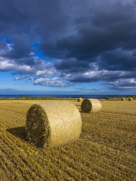 England, North Yorkshire, Scarborough. Hay bales in a field in North Yorkshire
