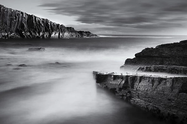 England, Northumberland, Cullernose Point