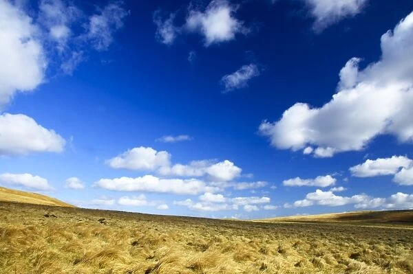 England, Northumberland, Northumberland National Park. The open landscape of the Breamish Valley at the foothills of the Cheviots near the village of Ingram situated within the Northumberland National Park in the northen england county