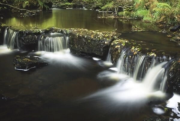 ENGLAND, Northumberland, Northumberland National Park. The flowing waters of the Hareshaw Burn complemented by