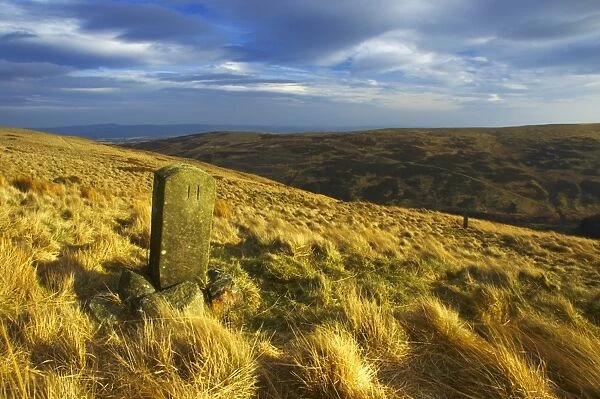 England, Northumberland, Northumberland National Park. Milestone on the banks of Snear Hill