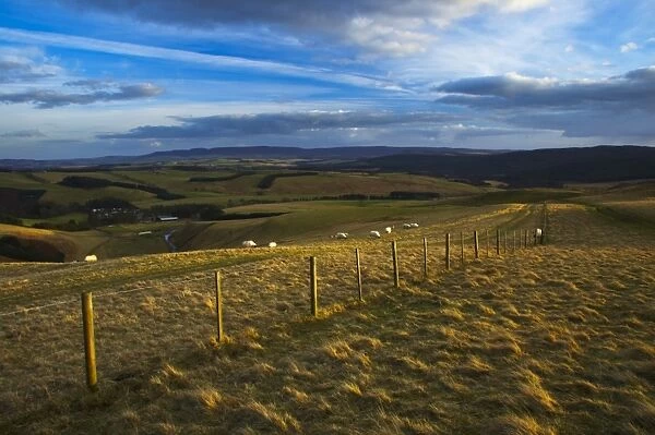 England, Northumberland, Northumberland National Park. A wire fencel running alongside the historic Clennell Steet route, as it heads towards Alwinton and the