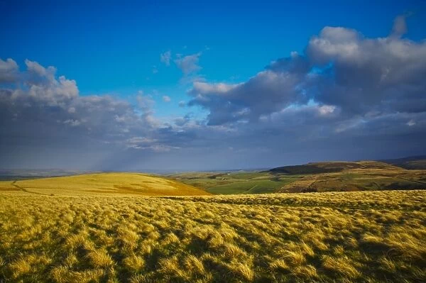 England, Northumberland, Northumberland National Park. The typical landscape encountered