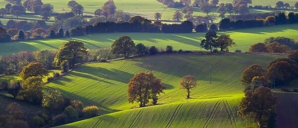 England, Staffordshire  /  Worcestershire, Kinver Edge. The rolling hills