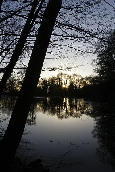 ENGLAND West Midlands Baggeridge Country Park A winter sunset behind the tree clad banks of one of the