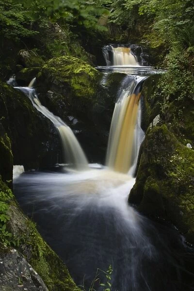 ENGLAND, Yorkshire, Yorkshire Dales National Park. The fast flowing Pecca twin falls waterfalls running through woodland