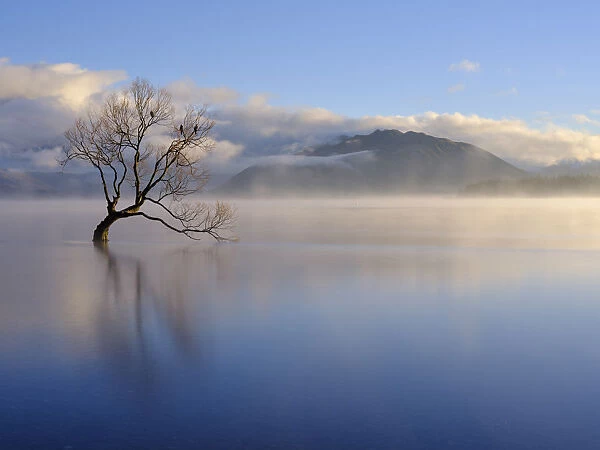 New Zealand, Otago, Lake Wanaka