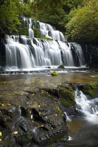 New Zealand, Southland, The Catlins. Purakaunui Falls surrounded by native woodland