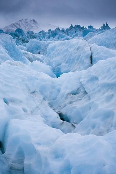 NEW ZEALAND, Westland, Westland National Park. The Fox Glacier, a popular tourist hotspot in the Westland
