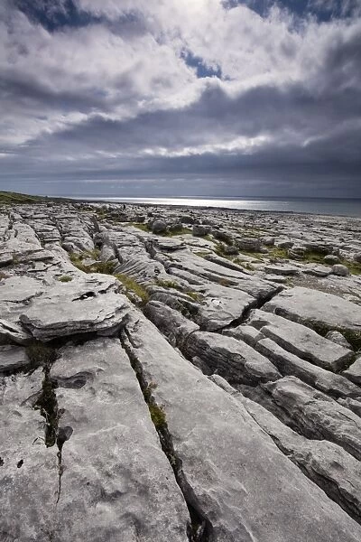 Republic of Ireland, County Clare, The Burren at Black Head