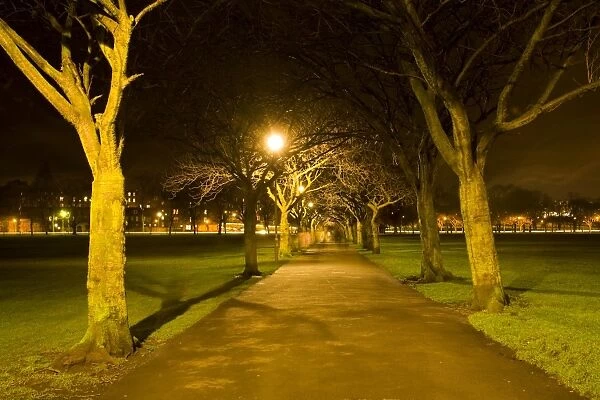 Scotland, Edinburgh, Edinburgh City. Public footpath running through an avenue of trees in the Meadows, a large expanse of open greenery found near the centre of