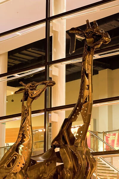 Scotland, Edinburgh, Omni Centre. These two giraffes that stand proud outside the Omni situated at Greenside Place, were created entirely out of scrap metal. They were titled Dreaming Spires by their designer