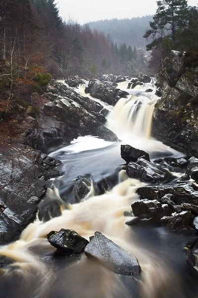 Scotland, Scottish Highlands, Rogie Waterfalls. A cascade of Peat coloured water at Rogie Falls