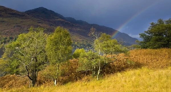 Scotland, Stirling, Loch Lomond and the Trossachs National Park. Rainbow over the banks of Loch Lomond and