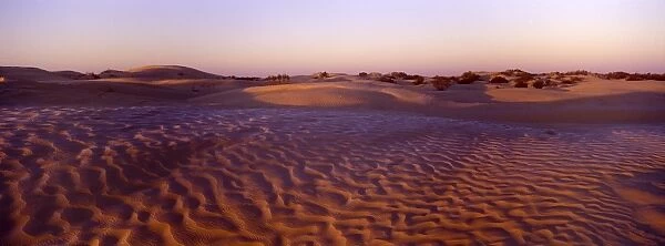 TUNISIA, Zaafrane, Sahara Desert