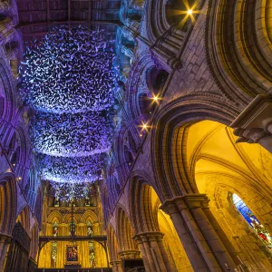 On Angel Wings - Hexham Abbey, Northumberland