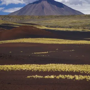 Argentina, Mendoza, Parque Provincial Payunia. The barren volcanic landscape of the reserve