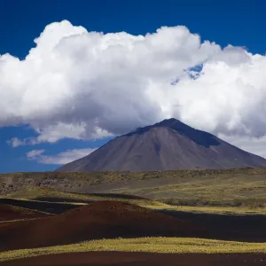 Argentina, Mendoza, Parque Provincial Payunia. The barren volcanic landscape of the reserve