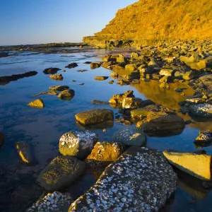 Australia, New South Wales, Royal National Park. Early morning light gently illuminates the picturesque coastline found at North Era, on the Royal National Park