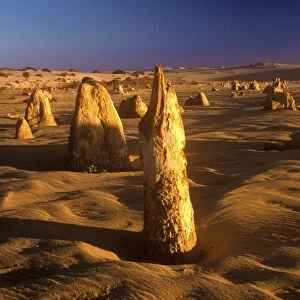 AUSTRALIA, Western Australia, Pinnacles Desert