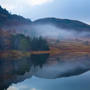 England, Cumbria, The Lake District. A misty dawn at Blea Tarn near Great Langdale