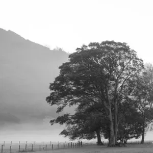 England, Cumbria, Lake District National Park