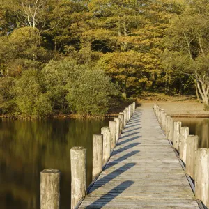 England, Cumbria, Lake District National Park