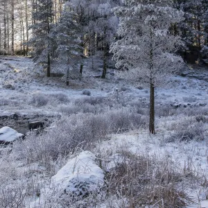 England, Cumbria, Lake District National Park