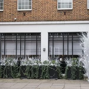 England, London, The Royal Borough of Kensington and Chelsea, Christmas Decorations