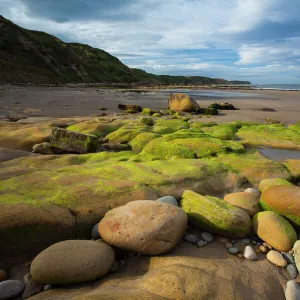 England, North Yorkshire, Scarborough. Scalby Ness Sands