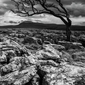 England, North Yorkshire, Twisleton Scar