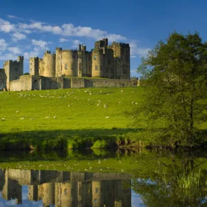 England, Northumberland, Alnwick. Alnwick Castle reflected in the still waters of the River Aln