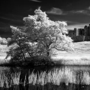 England, Northumberland, Alnwick Castle