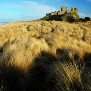 England Northumberland Bamburgh Castle. Sand dunes and vegetation near Bamburgh