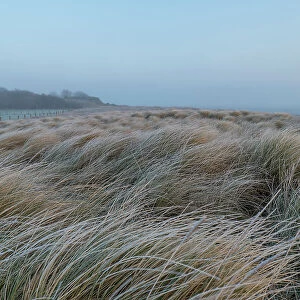England, Northumberland, Berwick Upon Tweed