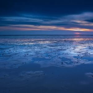 England, Northumberland, Goswell Sands. The blue hues of dawn reflected on the sandy expanse of the beach at Goswell Sands along the Northumberland