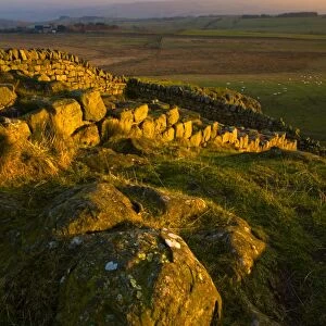 England, Northumberland Hadrians Wall. The world heritage site of Hadrians Wall near the town of Once