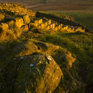 England, Northumberland Hadrians Wall. The world heritage site of Hadrians Wall near the town of Once