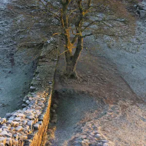 England, Northumberland, Hadrians Wall