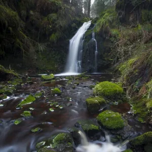 England, Northumberland, Hindhope Linn