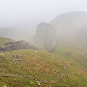 England, Northumberland National Park, Hadrian's Wall