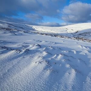 England, Northumberland, Northumberland National Park. Snow on the Cheviot Hills near Comb Fell