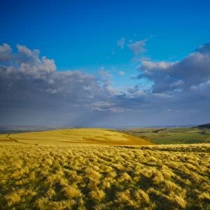 England, Northumberland, Northumberland National Park. The typical landscape encountered